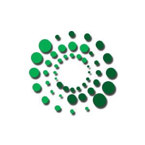 DE-System Logo